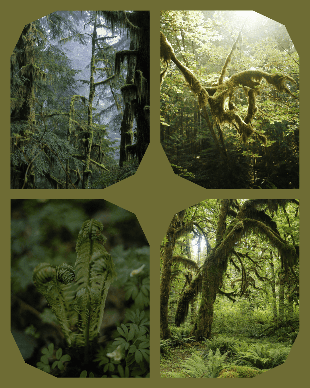 Main skein for the 2025 Advent Calendar (READY TO SHIP)