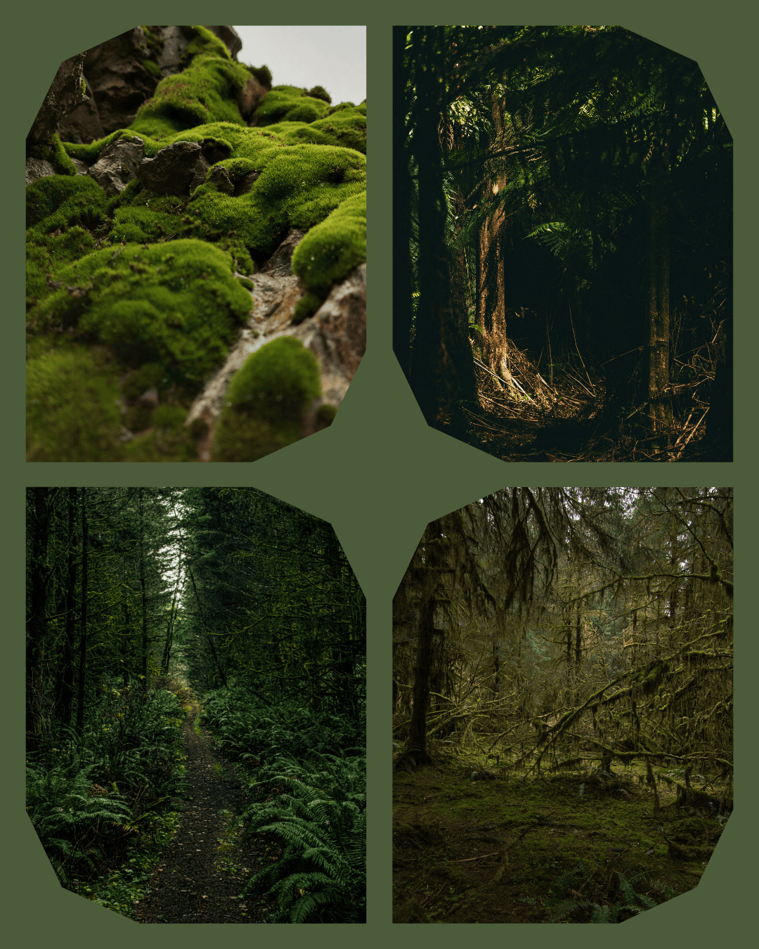 Main skein for the 2025 Advent Calendar (READY TO SHIP)