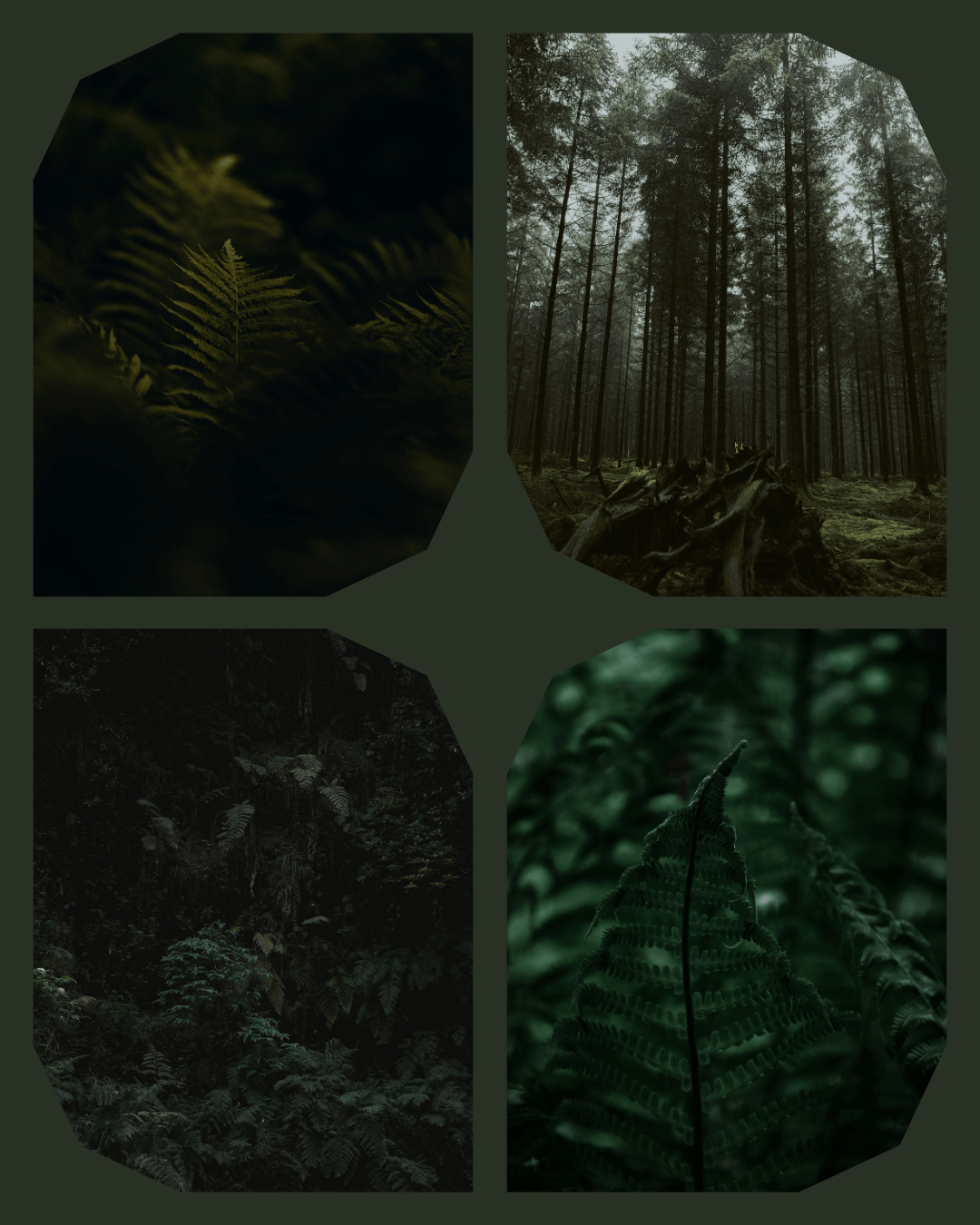 Main skein for the 2025 Advent Calendar (READY TO SHIP)