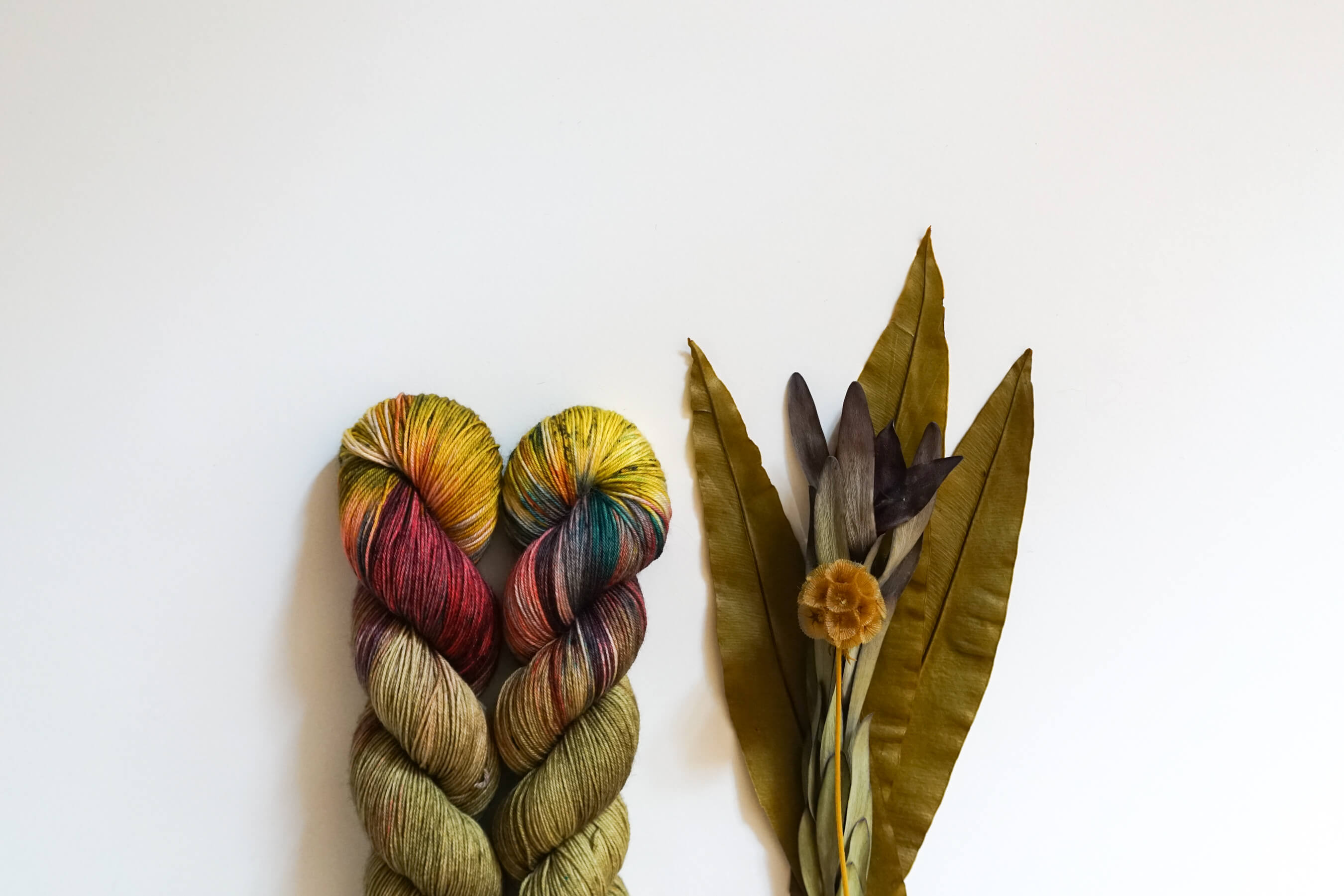 Jijivishna - PRE-ORDER