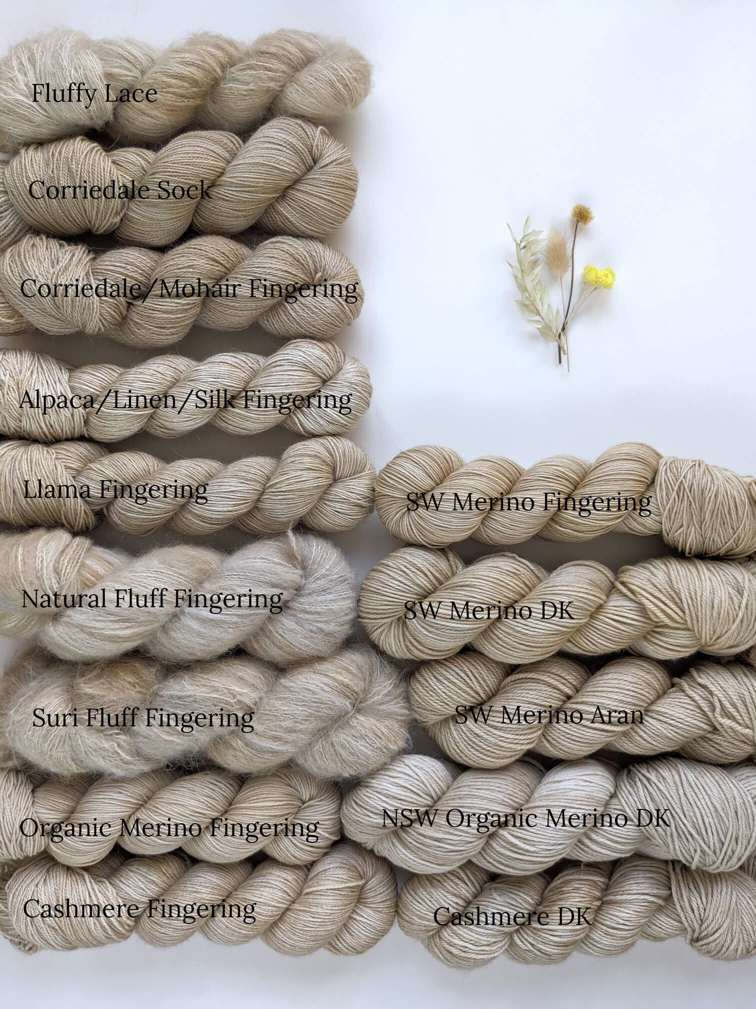 Oatmeal (WOOLLY GOOD PRE-ORDER)