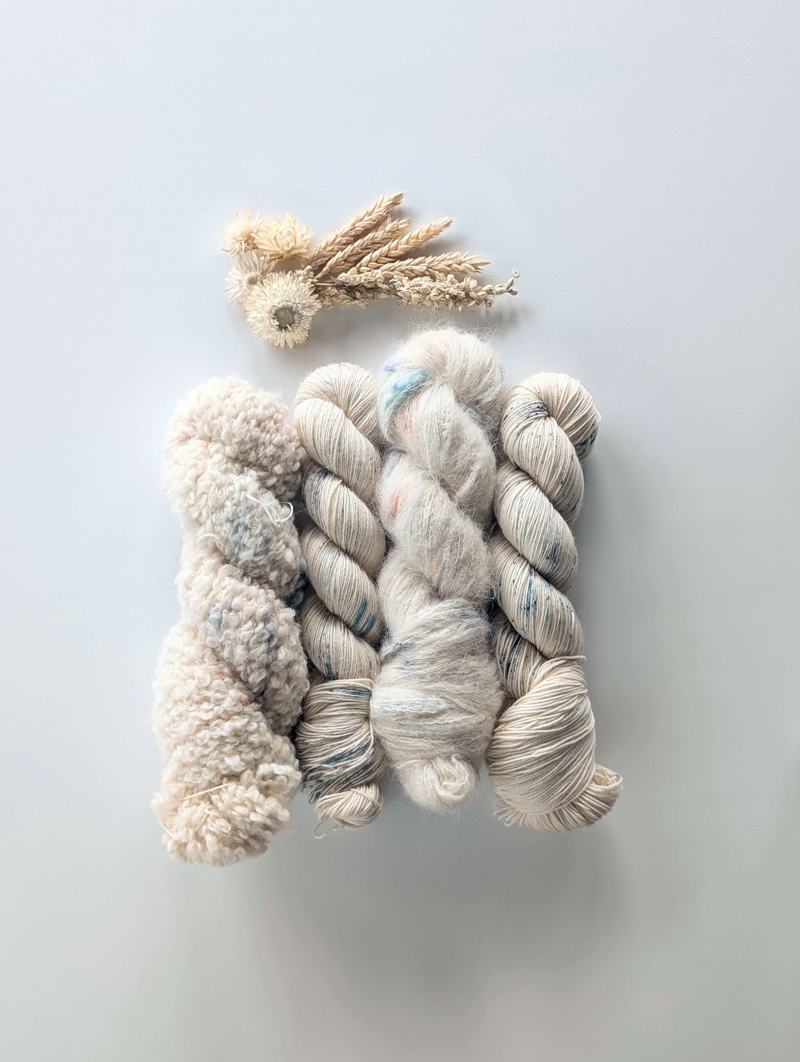 Picasso Bug - PRE-ORDER