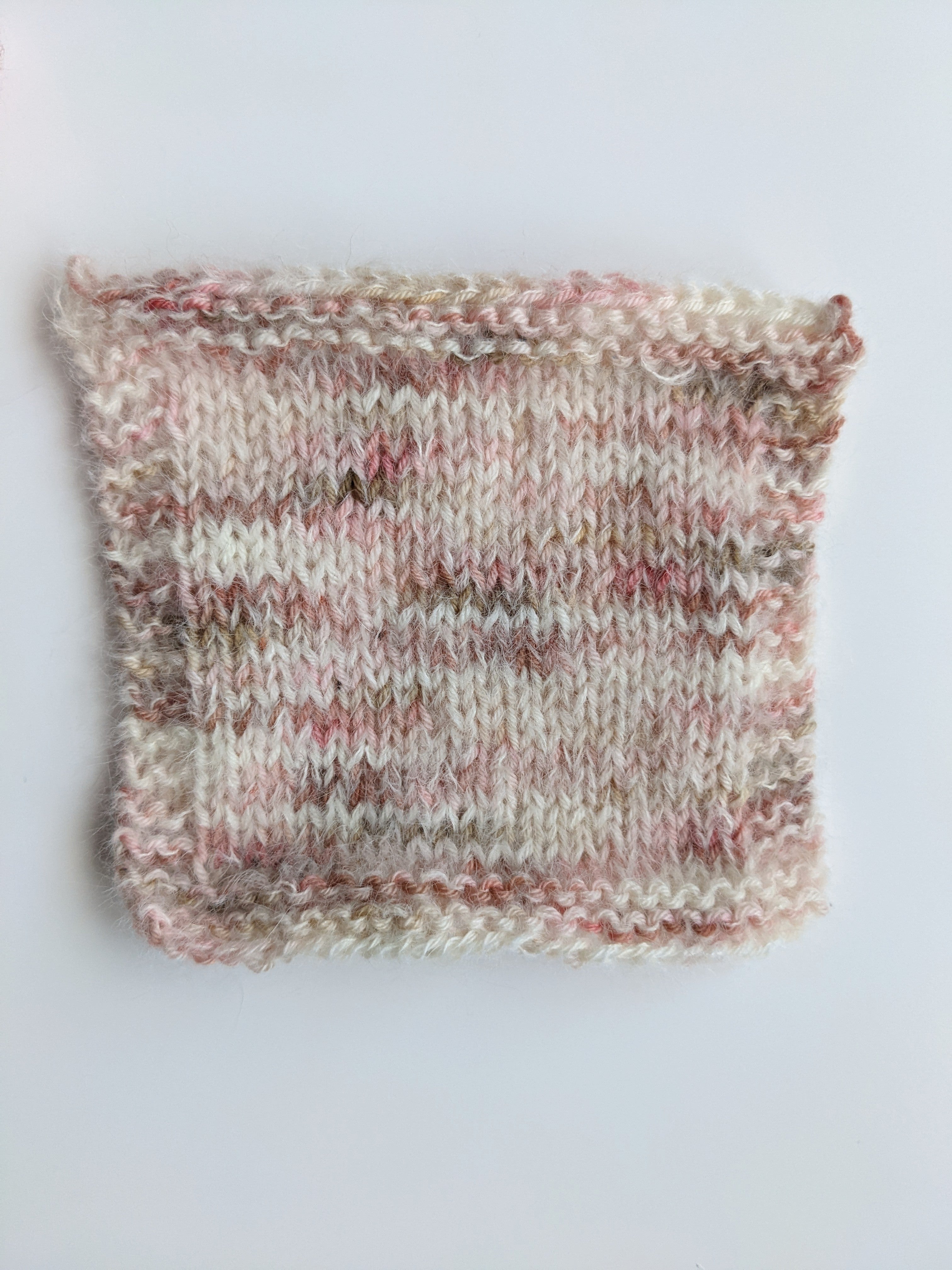 Dong Zhi - PRE-ORDER