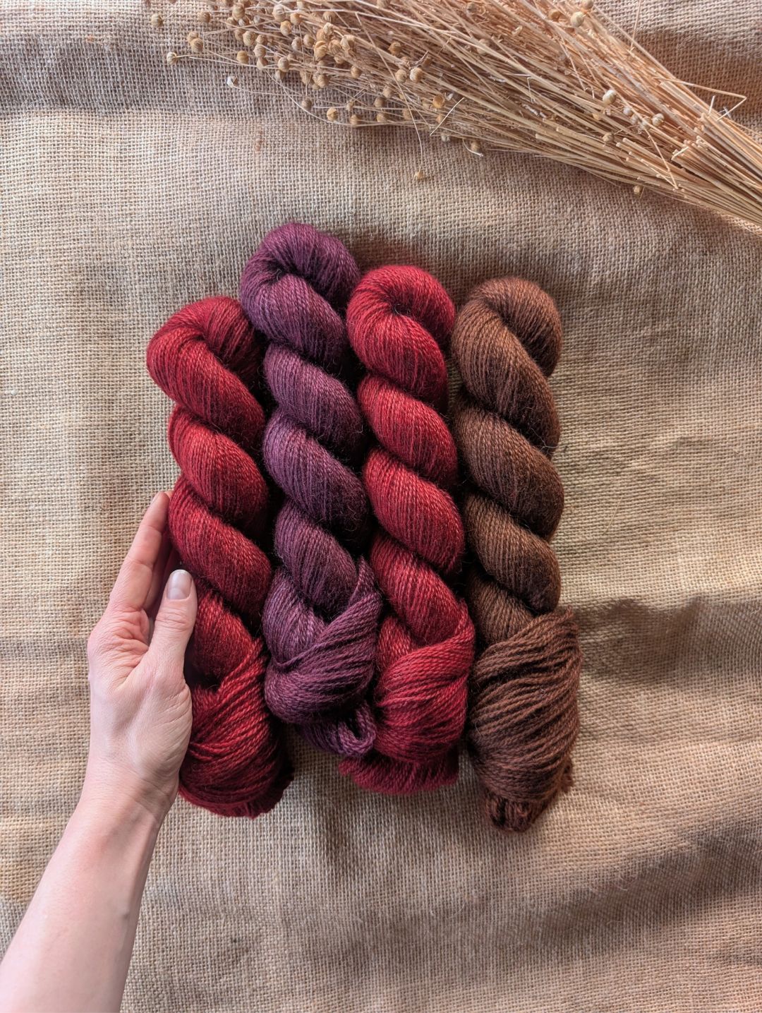 BFL/Gotland Fingering Yarn