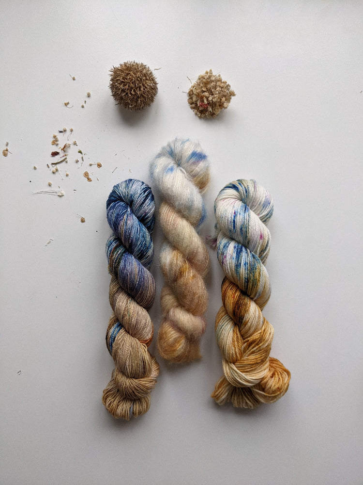 Blueberry Galette - PRE-ORDER