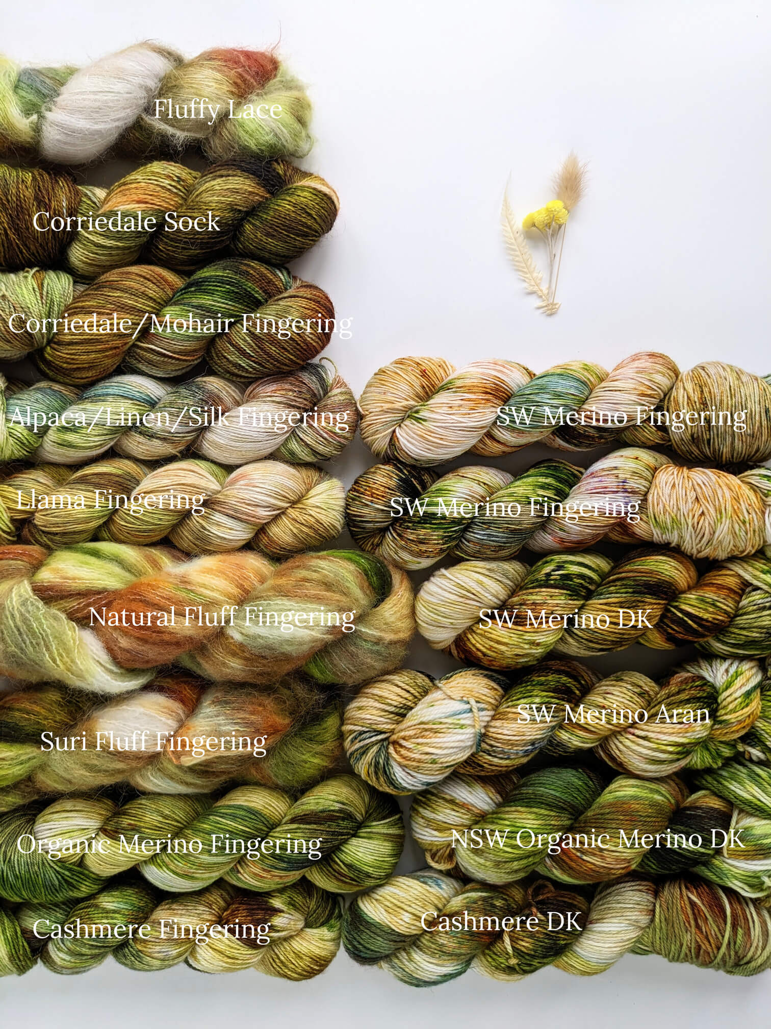 Parnassum - PRE-ORDER